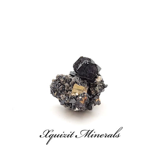 Sphalerite with Pyrite and Quartz, Krushev Dol Mine, Madan, Bulgaria (3)