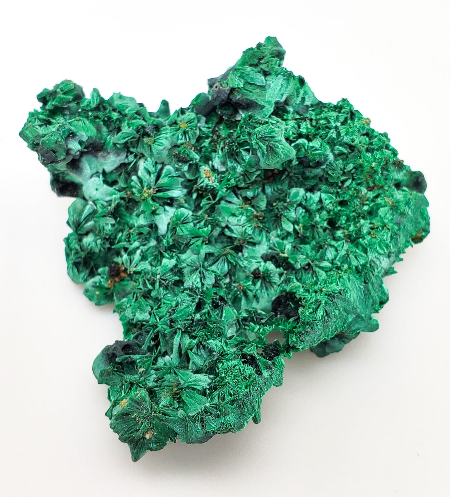 Malachite, Fibrous Malachite, Katanga Mine, Republic of Congo (22)
