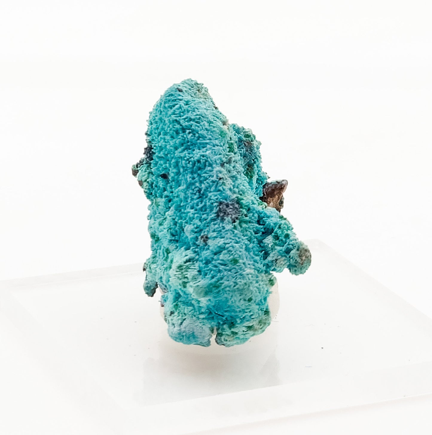 Chrysocolla pseudomorph after Malachite after Azurite, Lupoto Mine, Kakumba, Kipushi, Haut-Katanga, Democratic Republic of Congo (55)