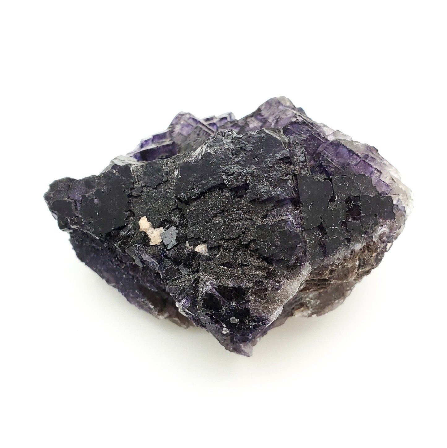 Fluorite, Melchor Muzquiz, Coahuila, Mexico (69)
