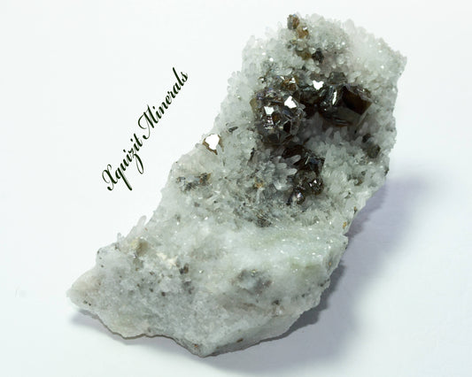 Sphalerite on Quartz with Pyrite, Krushev dol Mine, Madan, Bulgaria (6)