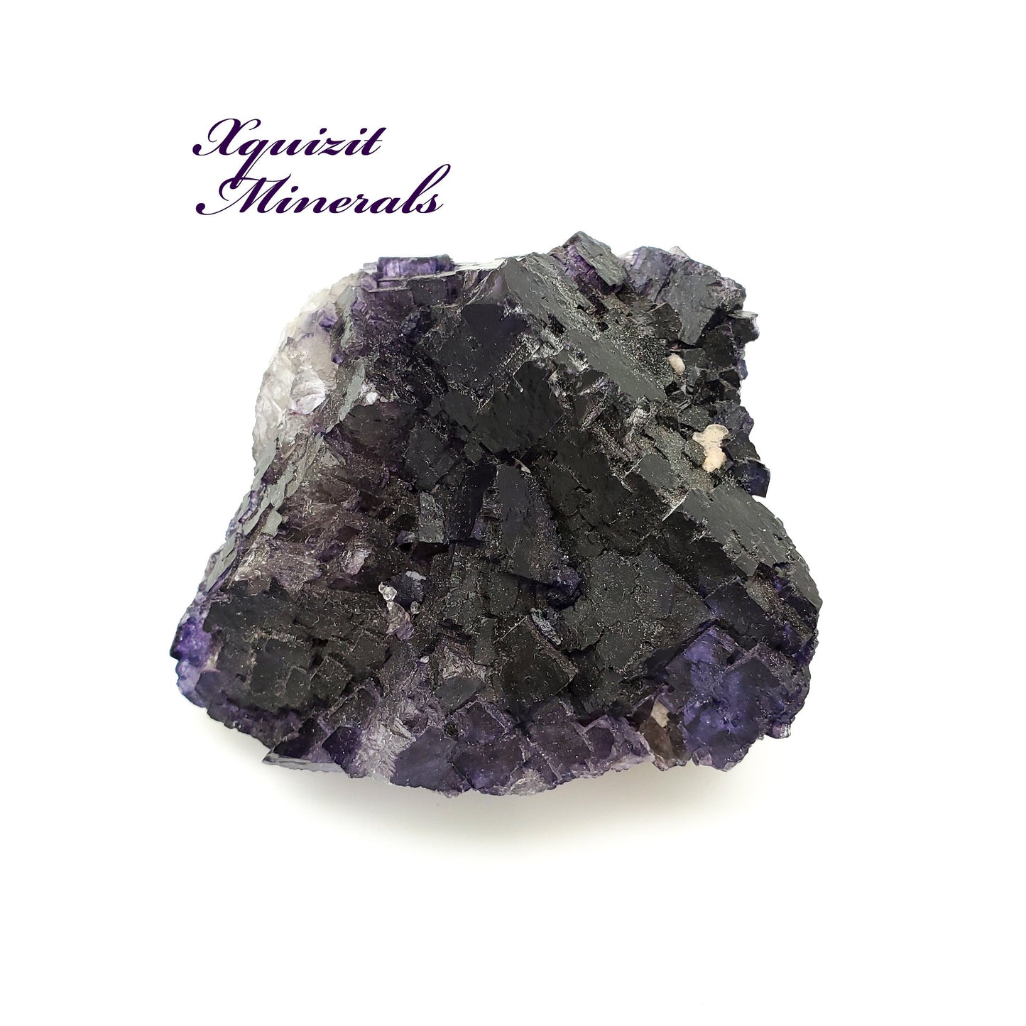 Fluorite, Melchor Muzquiz, Coahuila, Mexico (69)