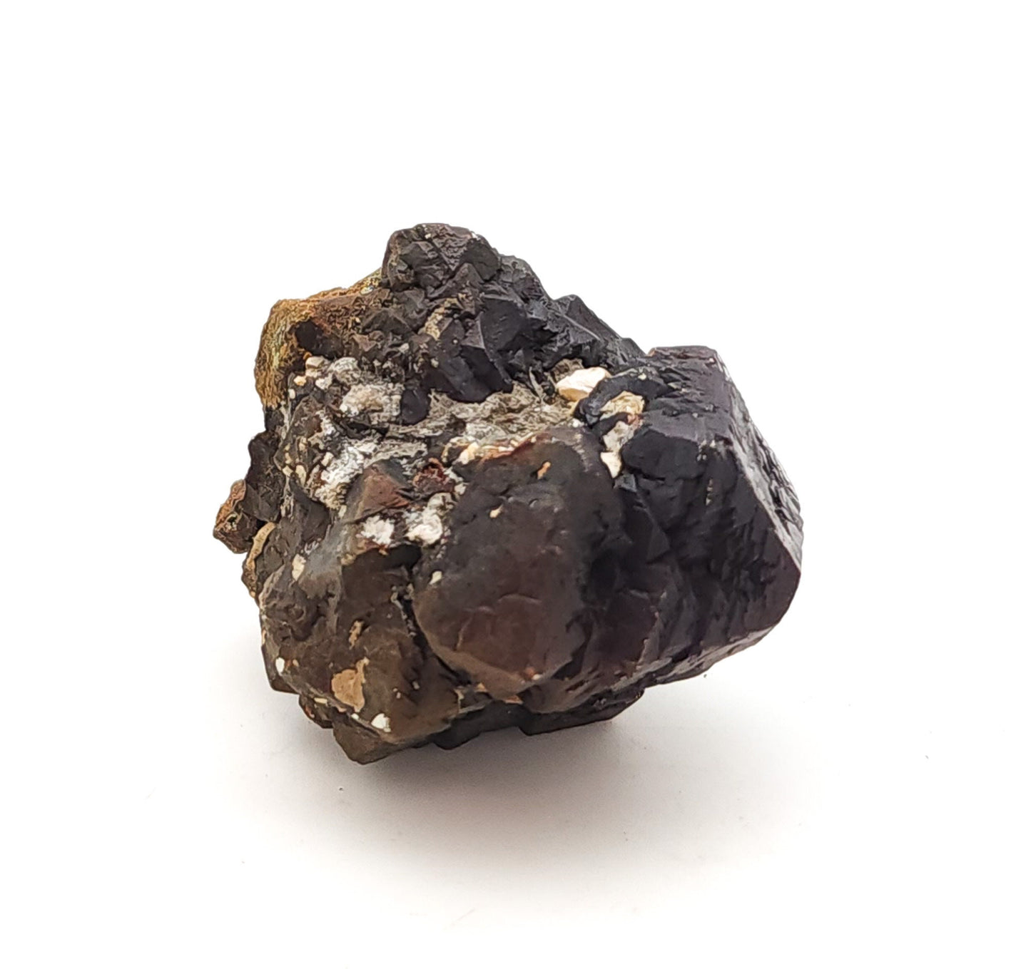 Pyrite, TXI Cement Quarry, Midlothian, Ellis Co., Texas, USA (50)