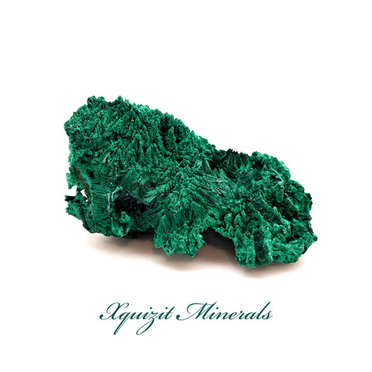 Malachite, Fibrous Malachite, Katanga Mine, Republic of Congo (WS1)