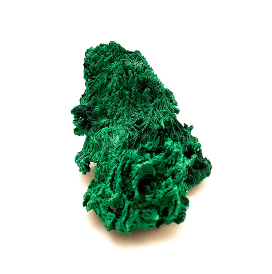 Malachite, Fibrous Malachite, Katanga Mine, Republic of Congo (WS1)