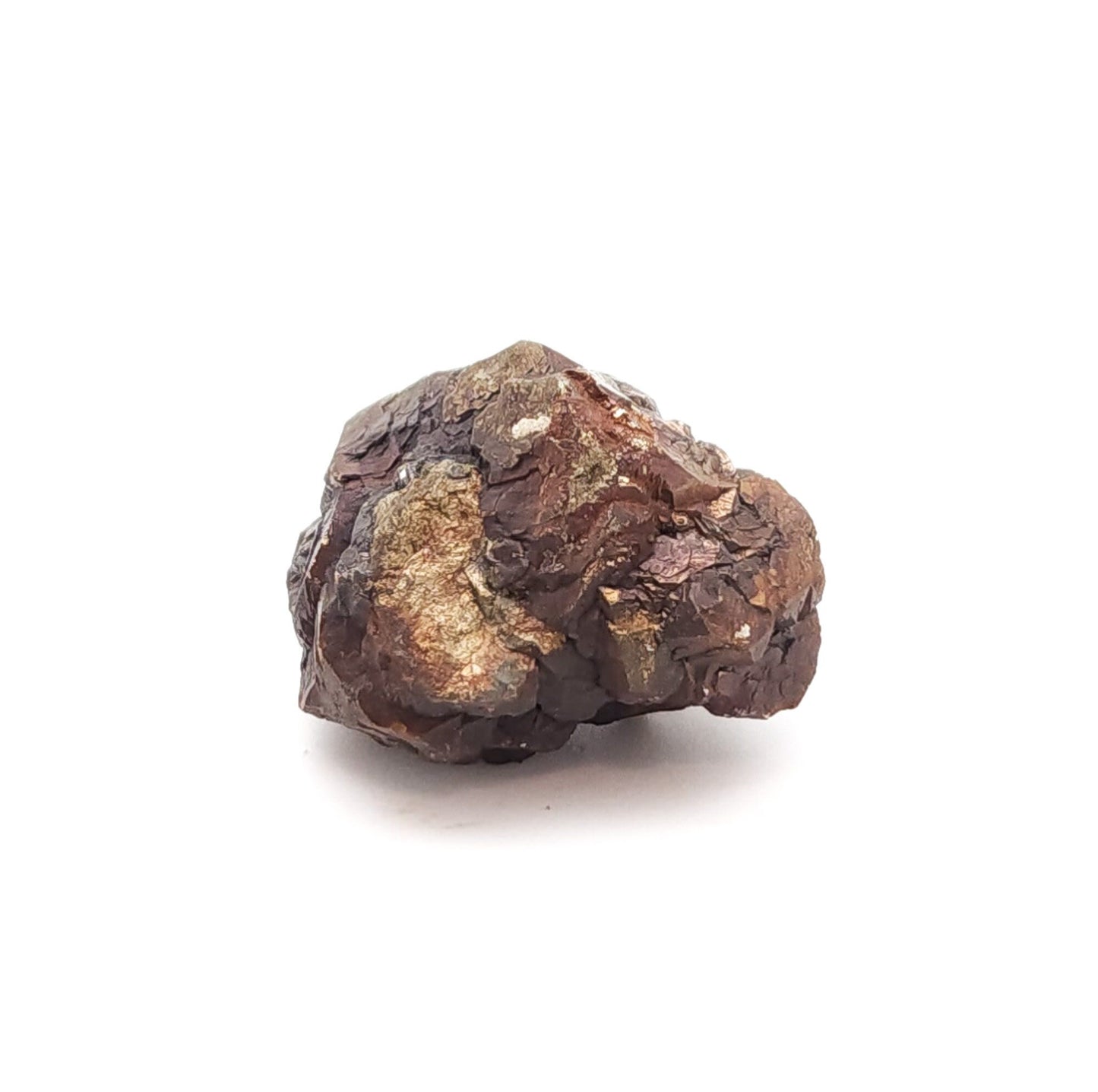 Pyrite, TXI Cement Quarry, Midlothian, Ellis Co., Texas, USA (11)