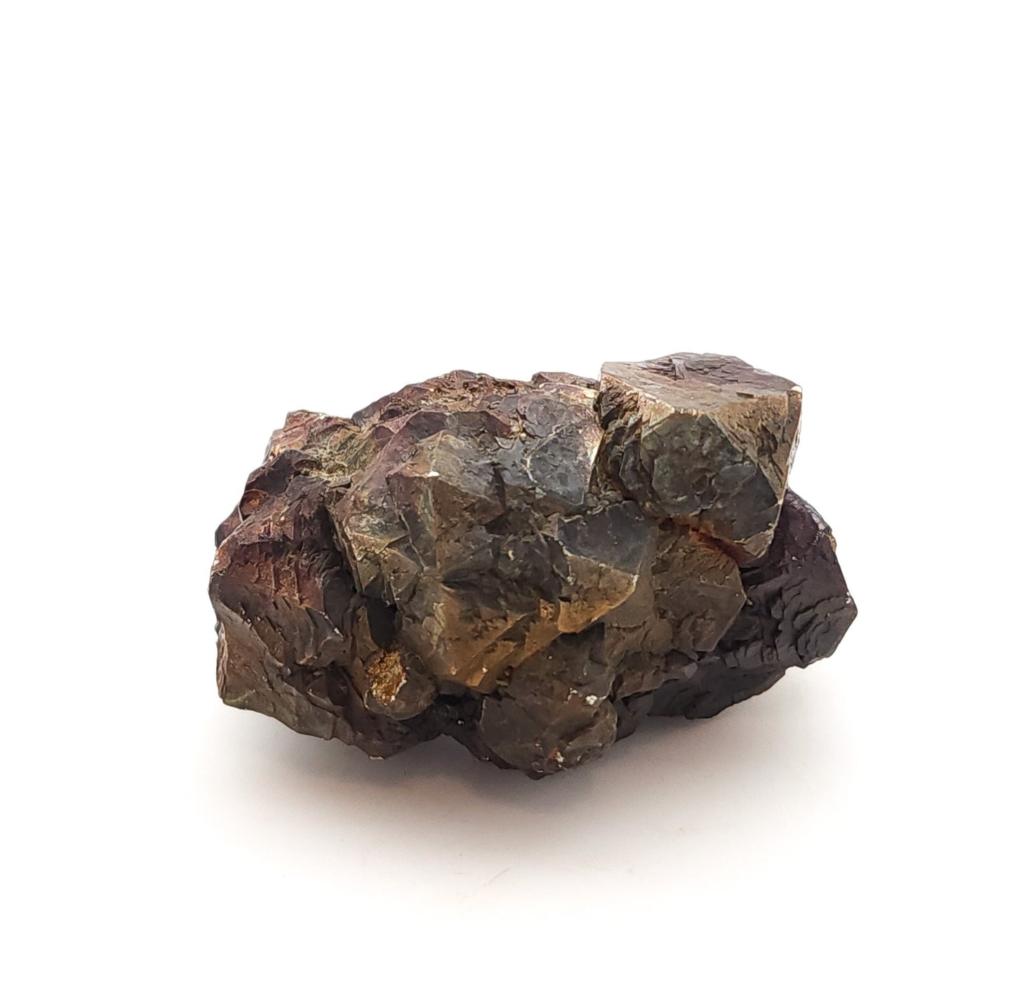 Pyrite, TXI Cement Quarry, Midlothian, Ellis Co., Texas, USA (50)