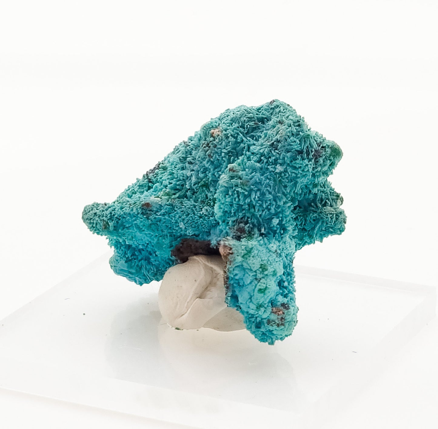 Chrysocolla pseudomorph after Malachite after Azurite, Lupoto Mine, Kakumba, Kipushi, Haut-Katanga, Democratic Republic of Congo (55)