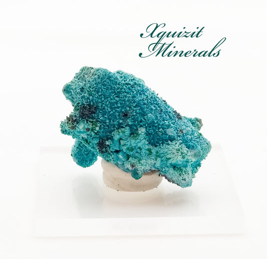 Chrysocolla pseudomorph after Malachite after Azurite, Lupoto Mine, Kakumba, Kipushi, Haut-Katanga, Democratic Republic of Congo (55)