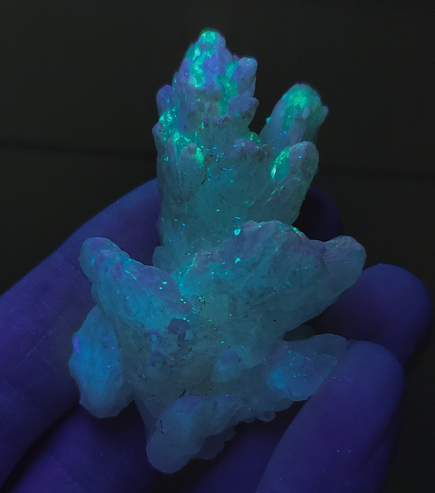 Celestine with Calcite, Mojina Mine, Rancho de Mojina, Municipio de Buenaventura, Chihuahua, Mexico (8)