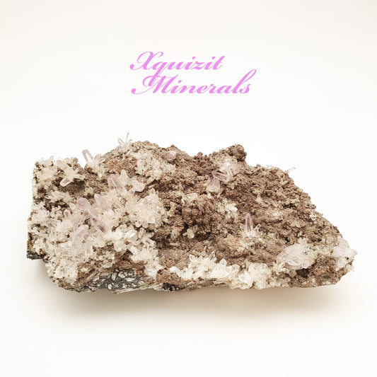 Amethyst, Las Vigas Mine, Vera Cruz, Mexico (67)