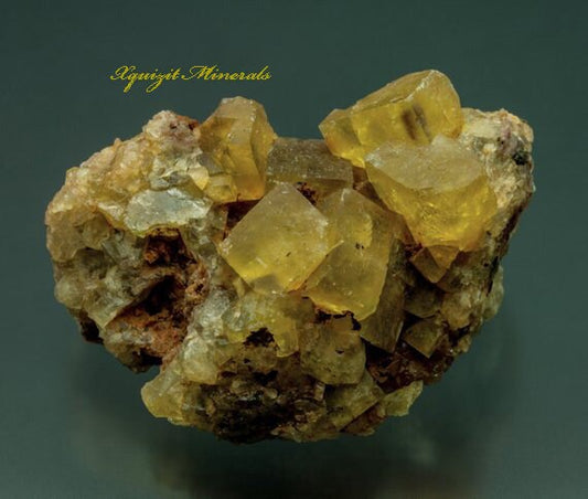 Fluorite, Yellow, Golden, Fluorescent, Iminialoui City, Midelt, Morocco (26)