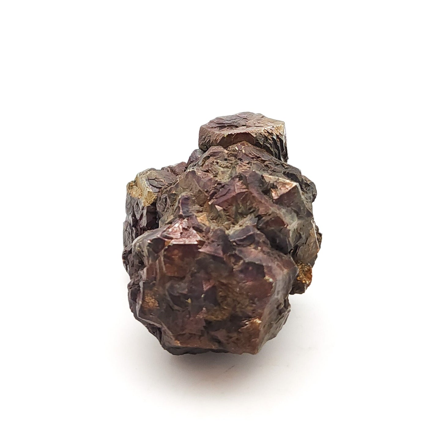 Pyrite, TXI Cement Quarry, Midlothian, Ellis Co., Texas, USA (50)