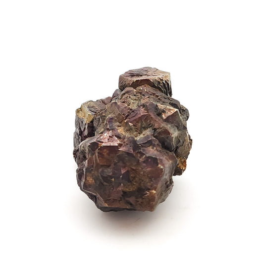 Pyrite, TXI Cement Quarry, Midlothian, Ellis Co., Texas, USA (50)