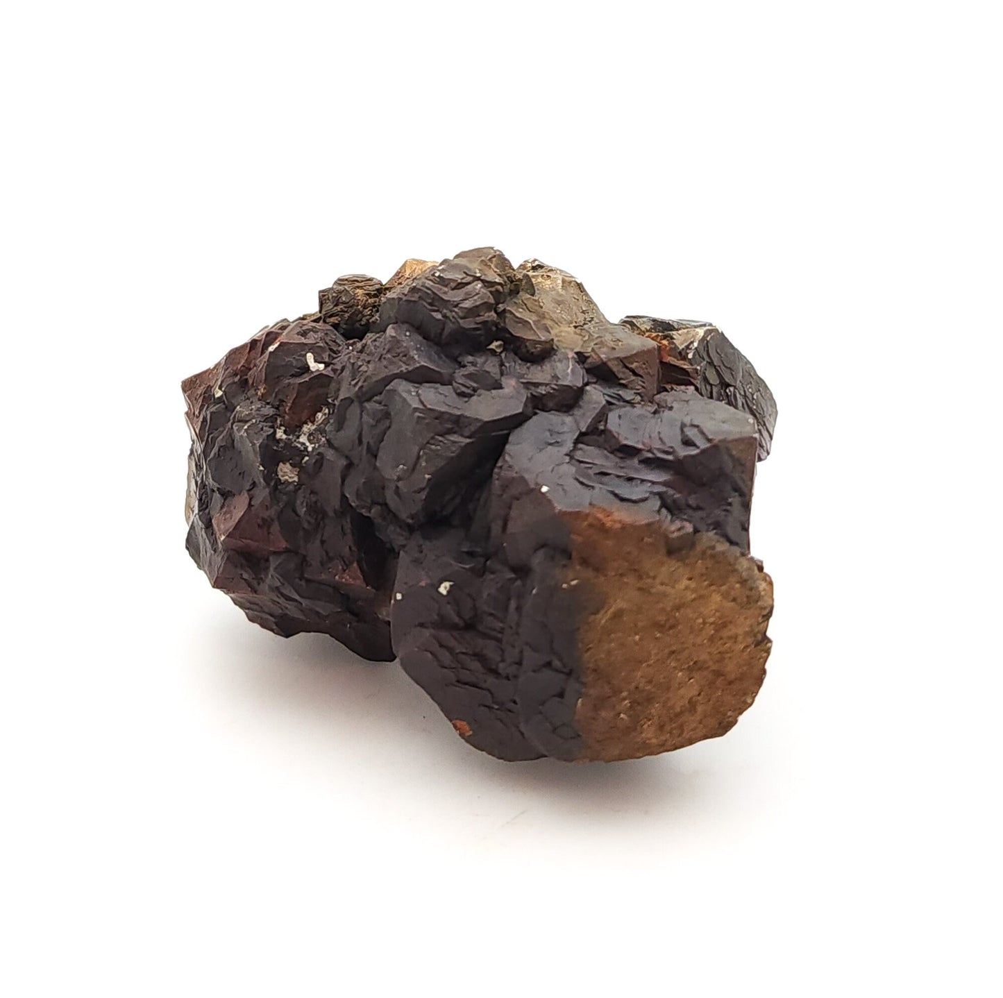 Pyrite, TXI Cement Quarry, Midlothian, Ellis Co., Texas, USA (50)
