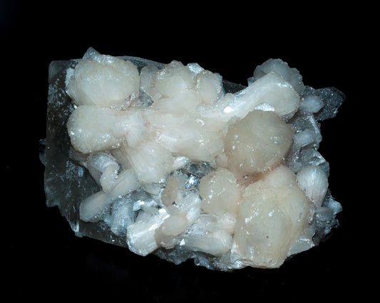 Large Bowtie Stilbite on Calcite, Apophyllite, Deccan Plateau, Nasik, India  (45)