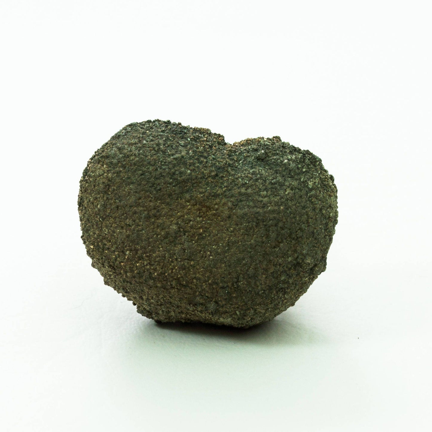 Pyrite, Eagle Ford Formation, Dallas County,  (33)