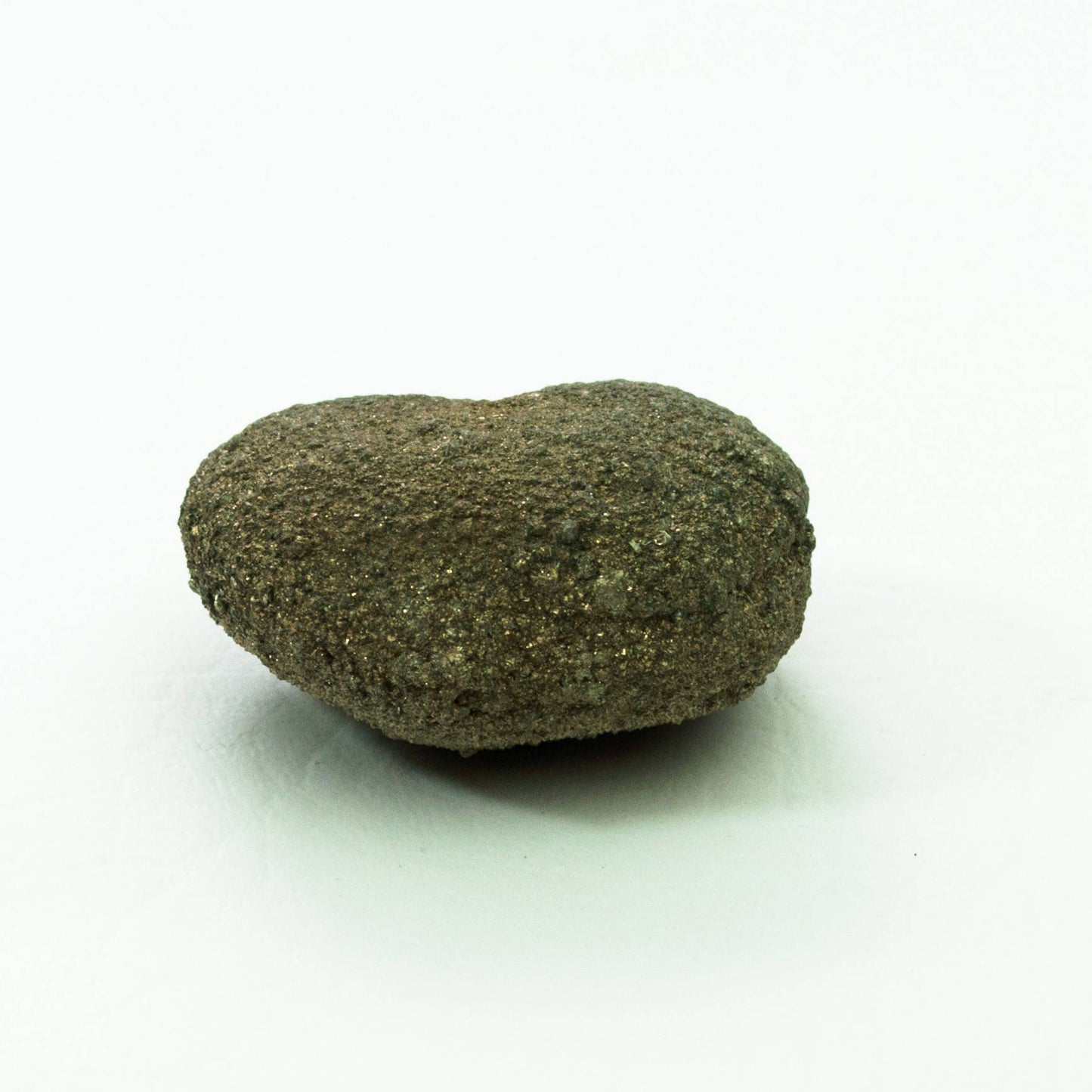 Pyrite, Eagle Ford Formation, Dallas County,  (33)