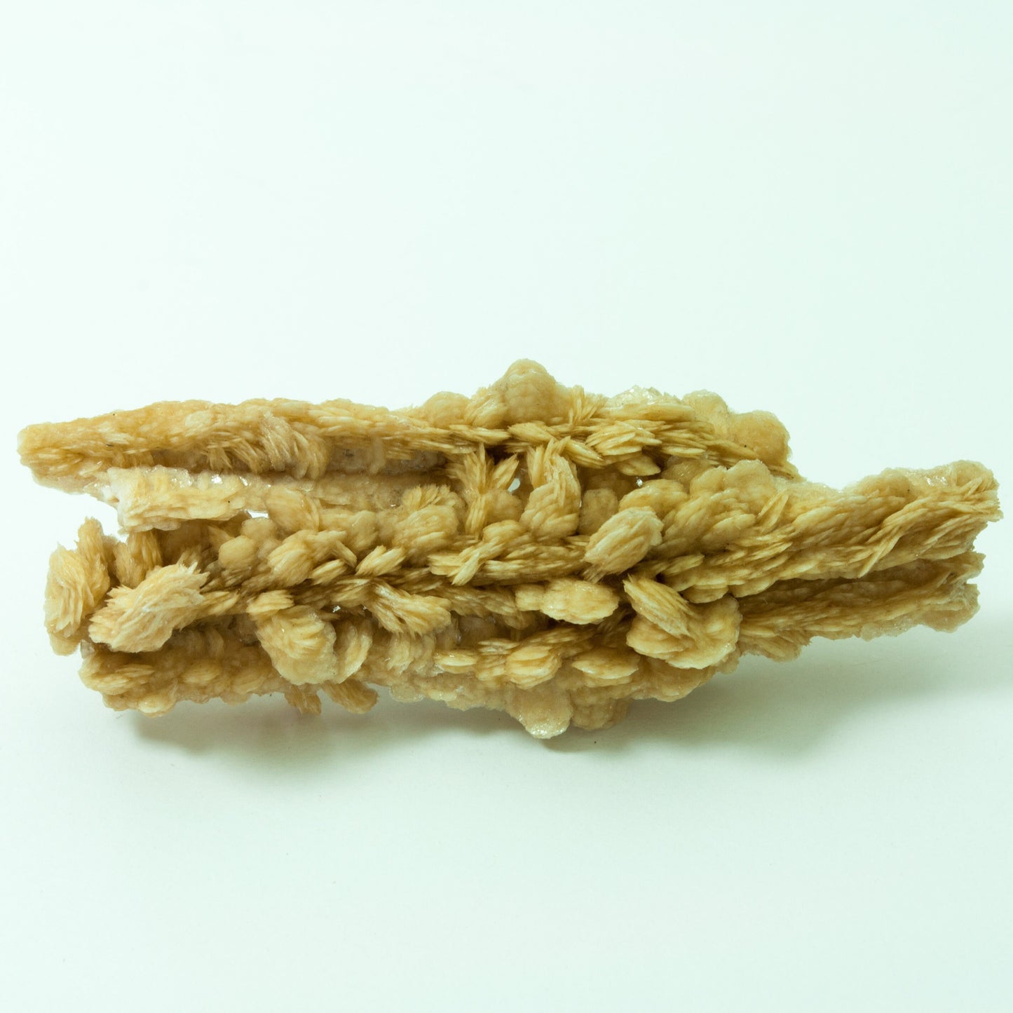 Barite, Stalactites, Lubin Mine, Poland (42)