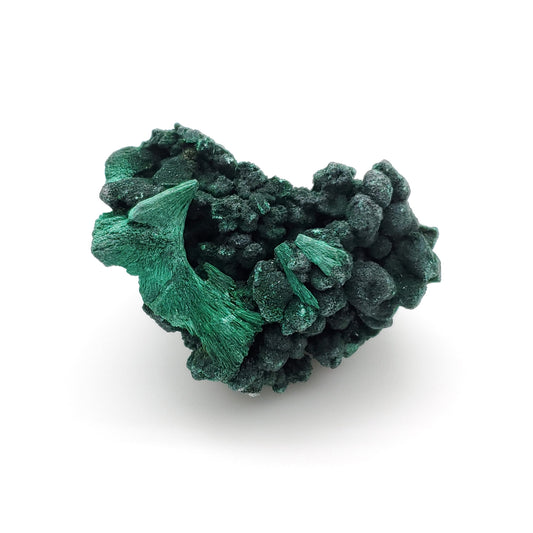 Malachite, Fibrous Malachite, Katanga, Democratic Republic of Congo, (29)