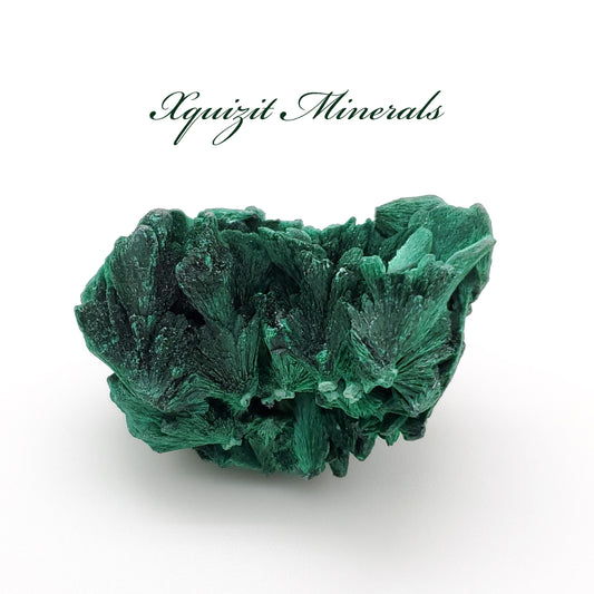 Malachite, Fibrous Malachite, Katanga, Democratic Republic of Congo, (29)