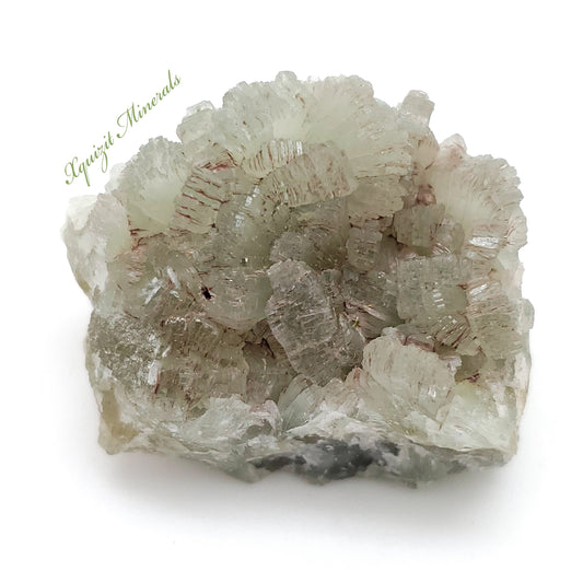 Prehnite, Bou Arfa, Figuig, Djebel Melh, Morocco (33)