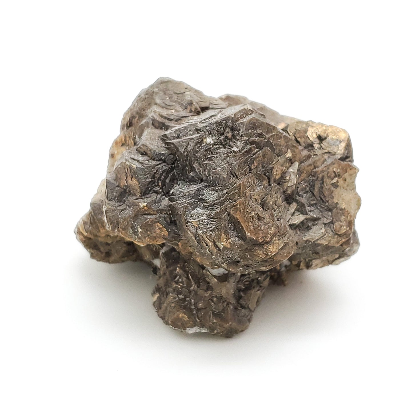 Pyrite, TXI Cement Quarry, Midlothian, Ellis Co., , USA (53)