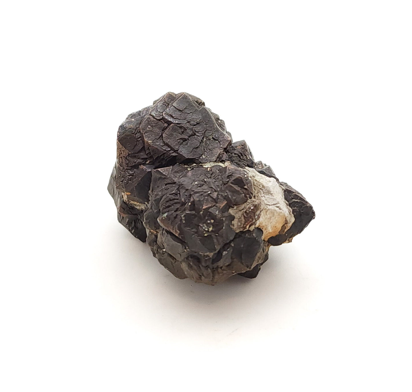 Pyrite, TXI Cement Quarry, Midlothian, Ellis Co., Texas, USA (50)
