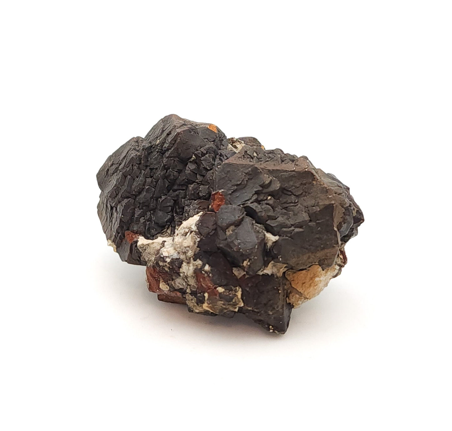 Pyrite, TXI Cement Quarry, Midlothian, Ellis Co., Texas, USA (50)