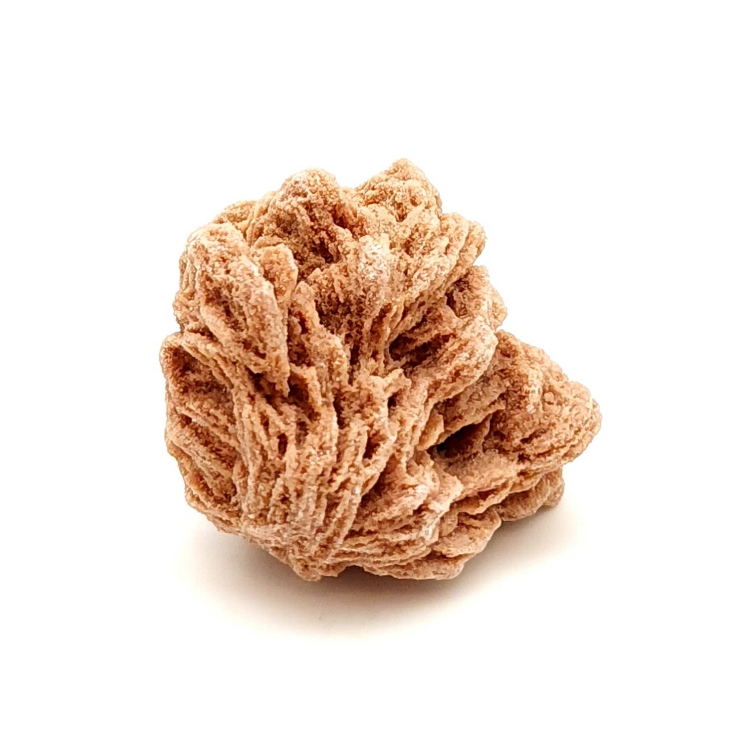 Barite Rose, Mibladen, Morocco (38)