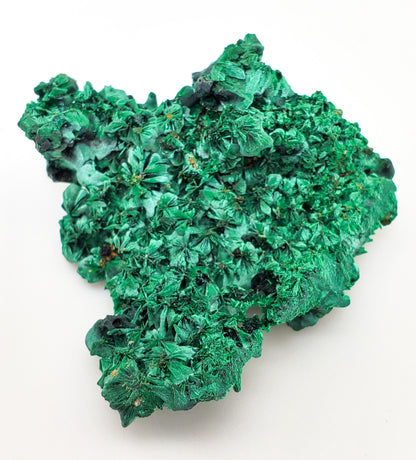 Malachite, Fibrous Malachite, Katanga Mine, Republic of Congo (22)