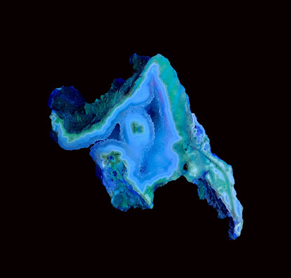 Tampa Bay Coral, Agatized Coral, Fossilized Coral, Florida (80)
