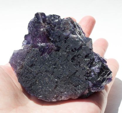 Fluorite, Melchor Muzquiz, Coahuila, Mexico (57)