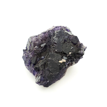 Fluorite, Melchor Muzquiz, Coahuila, Mexico (69)