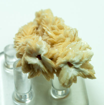 Barite, Stalactites, Lubin Mine, Poland (42)