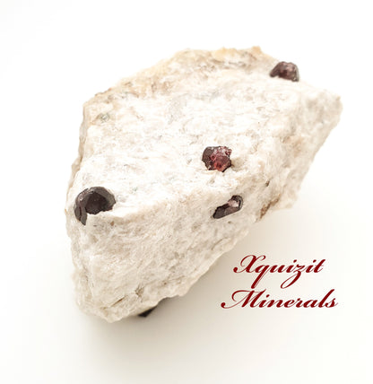 Almandine Garnet in Quartz, Brazil (65)