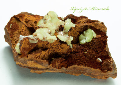 Adamite, Mina Ojuela, Mapimi, Durango, Mexico (43)