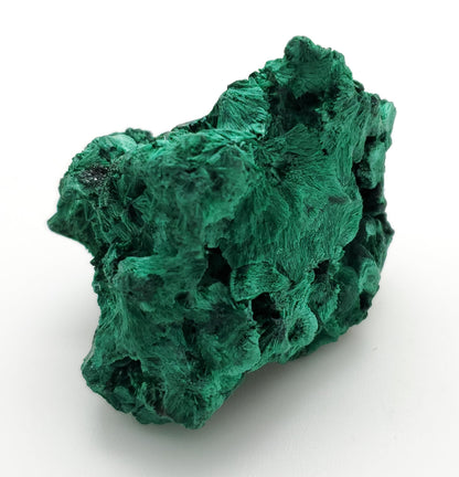 Malachite, Fibrous Malachite, Katanga Mine, Republic of Congo (51)