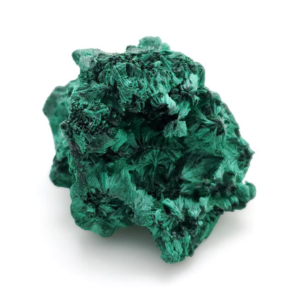 Malachite, Fibrous Malachite, Katanga Mine, Republic of Congo (51)