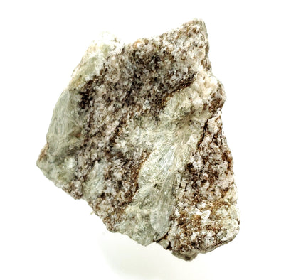 Actinolite, Selvasvatn, Vegarshei, Aust-Agder, Norway (60)