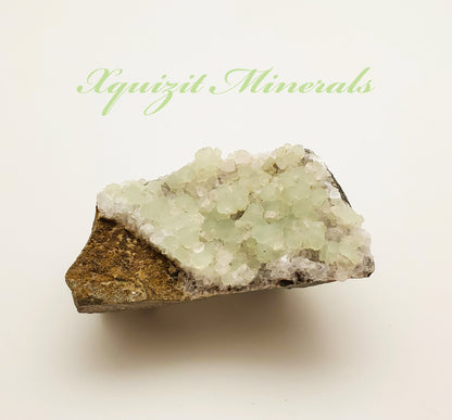Prehnite, Upper New St. Quarry, Patterson, New Jersey USA (63)