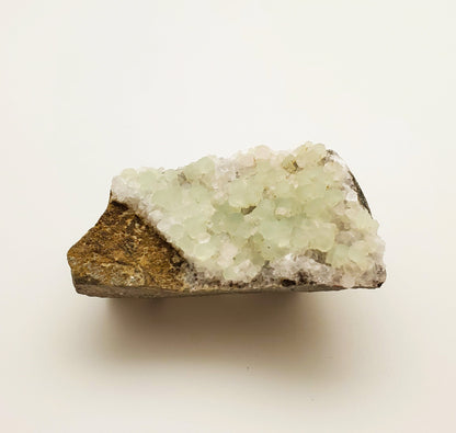 Prehnite, Upper New St. Quarry, Patterson, New Jersey USA (63)