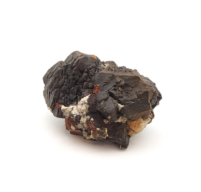 Pyrite, TXI Cement Quarry, Midlothian, Ellis Co., Texas, USA (50)