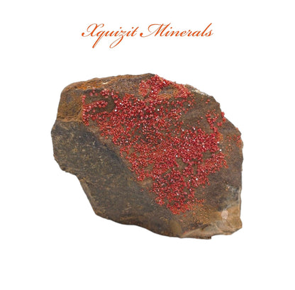 Vanadinite, Crystals on Matrix, Apache Mine, Gila Co., Arizona (81)